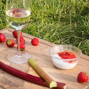 Coconut Panna Cotta with a Strawberry Rhubarb Sauce